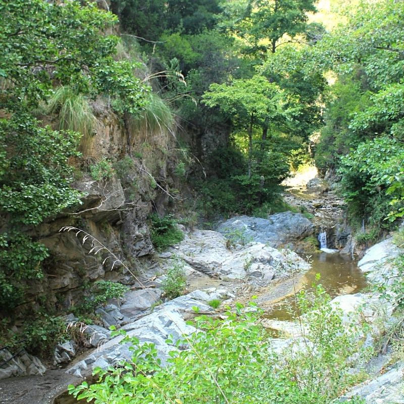 Valle dei Mulini escursione Parco Biodiversità Mediterranea Catanzaro